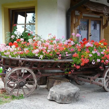 Agritur Ciasa Do Pare Farm stay *